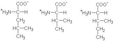 Leucin + Isoleucin + Valin = BCAA all3