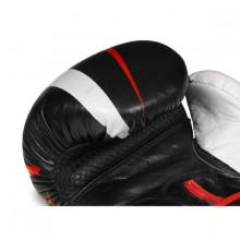 Boxerské rukavice DBX Bushido B-2 V7, 14 oz