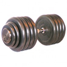 JEDNORUČNÍ ČINKA STABILNÍ 50kg - GUMA