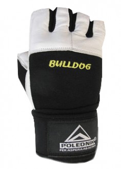 Fitness BULLDOG