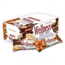 Nutrend Wellnes Cake  67g
