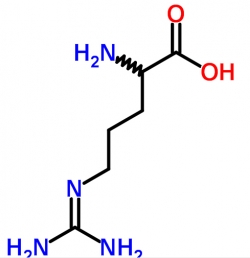 arginine-alpha-ketoglutarat