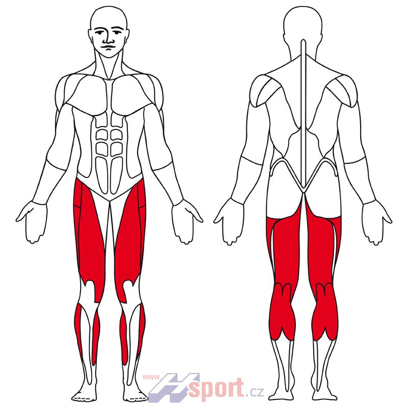 Rotoped-ergometr Kettler Lotus E