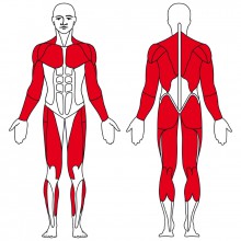 Crossový trenažér Kettler Saphir P