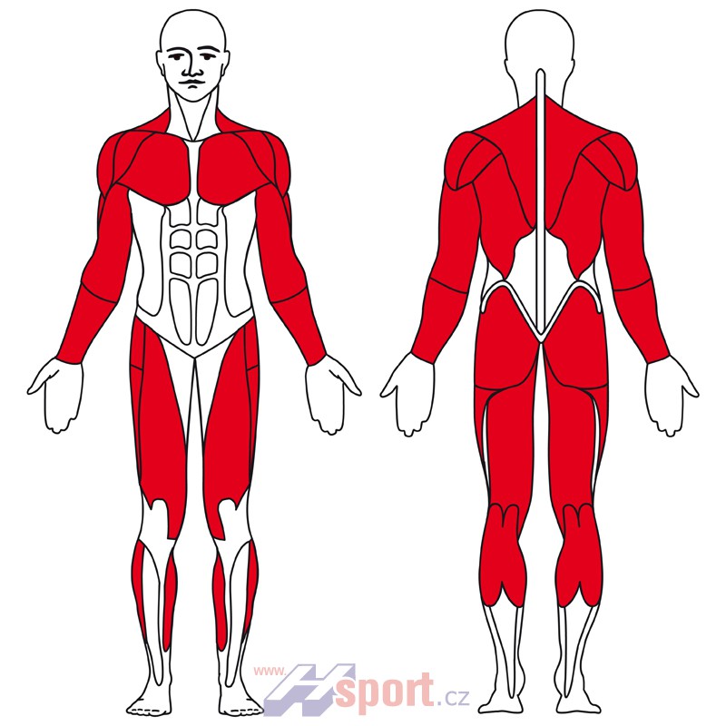 Crossový trenažér Kettler Saphir P