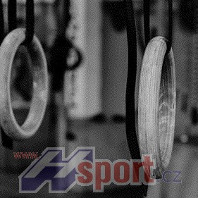 Gymnastické kruhy s popruhy Hsport