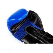 Boxerské rukavice DBX Bushido DBD-B-2 V2, 10 oz