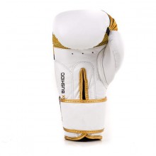 Boxerské rukavice DBX Bushido DBD-B-2 V1, 10 oz