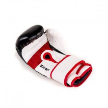 Boxerské rukavice DBX Bushido DBD-B-2 V3, 10 oz