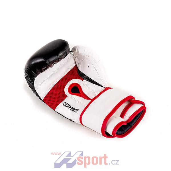 Boxerské rukavice DBX Bushido DBD-B-2 V3, 10 oz