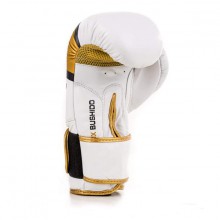Boxerské rukavice DBX Bushido DBD-B-2 V1, 12 oz