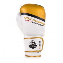 Boxerské rukavice DBX Bushido DBD-B-2 V1, 14 oz