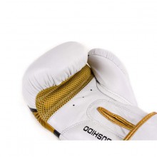 Boxerské rukavice DBX Bushido DBD-B-2 V1, 14 oz