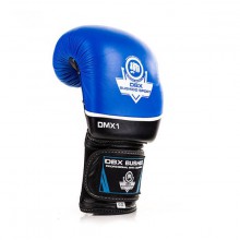 Boxerské rukavice DBX Bushido DBD-B-2 V2, 12 oz