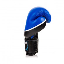 Boxerské rukavice DBX Bushido DBD-B-2 V2, 12 oz
