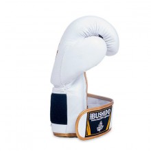 Boxerské rukavice DBX Bushido DBD-B-2, 14 oz