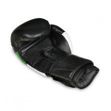 Boxerské rukavice DBX Bushido B-2 V6, 10 oz