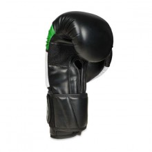 Boxerské rukavice DBX Bushido B-2 V6, 10 oz