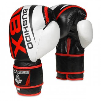 Boxerské rukavice DBX Bushido B-2 V7, 10 oz
