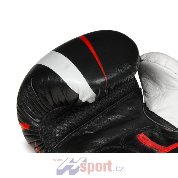 Boxerské rukavice DBX Bushido B-2 V7, 10 oz