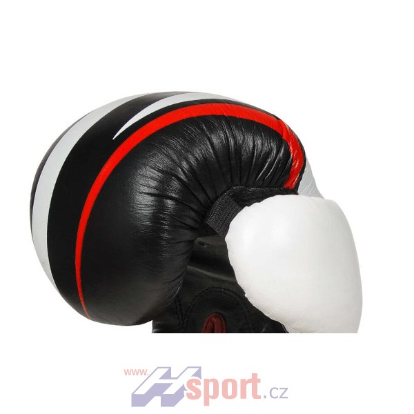 Boxerské rukavice DBX Bushido B-2 V7, 10 oz