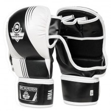 MMA rukavice DBX Bushido ARM-2011A, L/XL