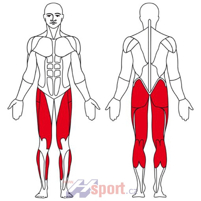 procvičované partie