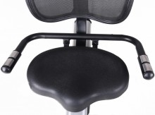 Recumbent Toorx BRX R 300