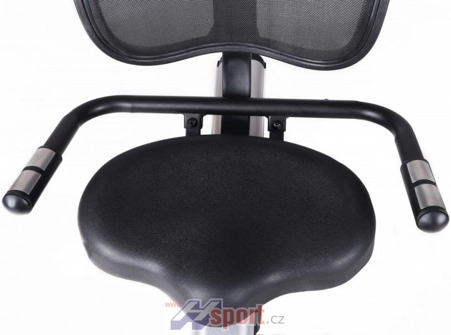 Recumbent Toorx BRX R 300