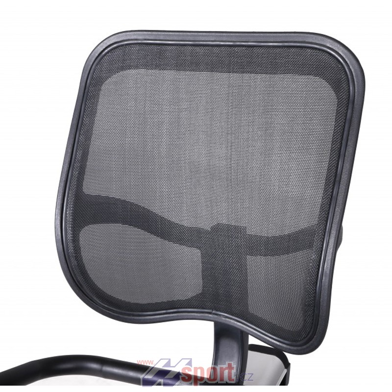 Recumbent Toorx BRX R 300