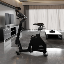 Rotoped Insportline ZenBike 300