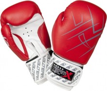 Boxerské rukavice TeamX 14 oz - kůže