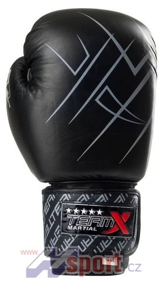 Boxerské rukavice TeamX 16 oz - kůže