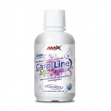 Amix CarniLine ProActive 20 g 480 ml