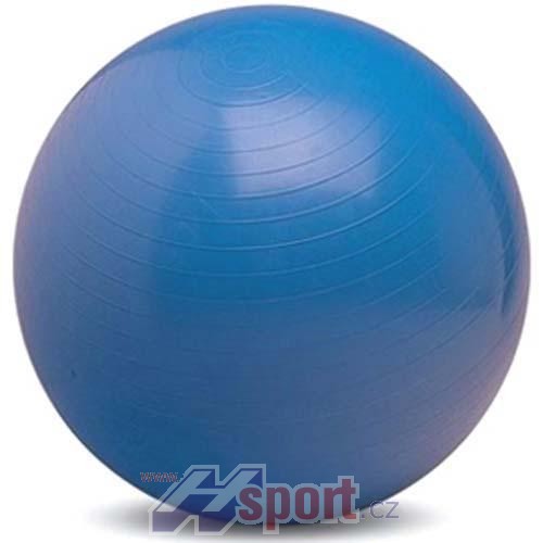 Gymnastic Ball 65 cm (do 178 cm)