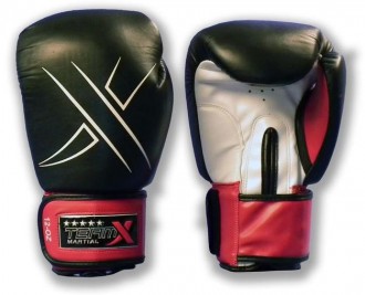 Rukavice TeamX LEON 14 oz - kůže