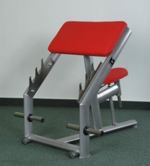 EXCLUSIVE-LAVICE SCOTTOVA