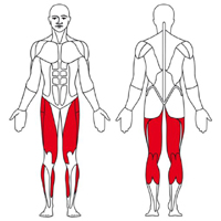 m-rotopedy-ergometry
